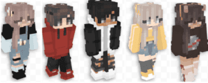 Five Minecraft Characters